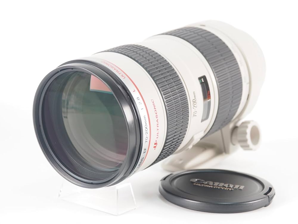Canon キャノン EF 70-200mm F2.8 L USM レンズ Amazon.co.jp: キャノンEF 70-200mm f/2.8LはIII USMレンズ